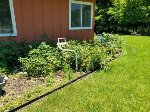 Photo for 410 36th Street NW, Austin, MN 55912 - Listing #5726704 410 36th Street NW, Austin, MN 55912