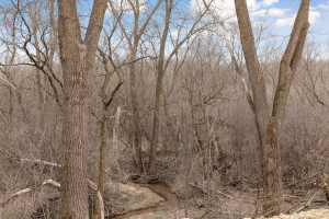 Photo for xxx Bamber Valley Road, Rochester, MN 55902 - Listing #5733875 xxx Bamber Valley Road, Rochester, MN 55902