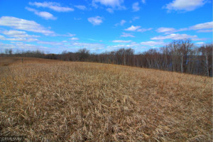 Photo for XXX 709th Street, Lake City, MN 55041 - Listing #5730038 XXX 709th Street, Lake City, MN 55041