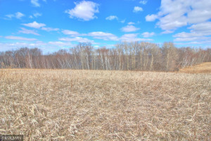 Photo for XXX 709th Street, Lake City, MN 55041 - Listing #5730038 XXX 709th Street, Lake City, MN 55041