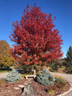 Photo for 746 60th Avenue SW, Rochester, MN 55902 - Listing #5738823 746 60th Avenue SW, Rochester, MN 55902
