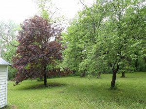 Photo for 4102 13th Street NE, Austin, MN 55912 - Listing #5762875 4102 13th Street NE, Austin, MN 55912