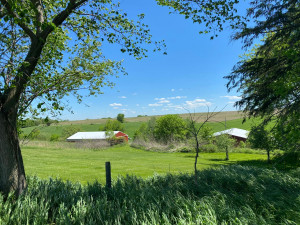 Photo for 29297 Gunflint Road, Chatfield, MN 55923 - Listing #5704761 29297 Gunflint Road, Chatfield, MN 55923