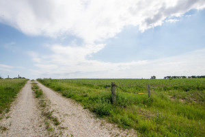 Photo for XXXXX HWY 52 SE, Chatfield, MN 55923 - Listing #6008101 XXXXX HWY 52 SE, Chatfield, MN 55923