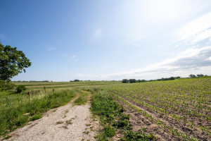 Photo for XXXXX HWY 52 SE, Chatfield, MN 55923 - Listing #6008101 XXXXX HWY 52 SE, Chatfield, MN 55923