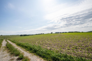 Photo for XXXXX HWY 52 SE, Chatfield, MN 55923 - Listing #6008101 XXXXX HWY 52 SE, Chatfield, MN 55923