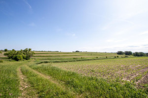 Photo for XXXXX HWY 52 SE, Chatfield, MN 55923 - Listing #6008101 XXXXX HWY 52 SE, Chatfield, MN 55923