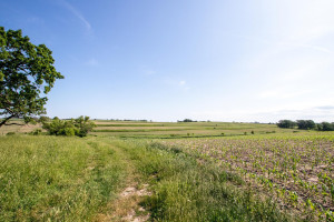 Photo for XXXXX HWY 52 SE, Chatfield, MN 55923 - Listing #6008101 XXXXX HWY 52 SE, Chatfield, MN 55923