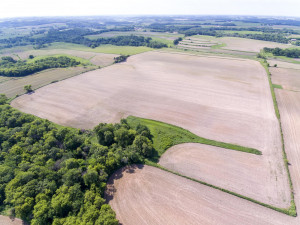 Photo for XXXXX HWY 52 SE, Chatfield, MN 55923 - Listing #6008101 XXXXX HWY 52 SE, Chatfield, MN 55923