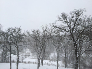 Photo for 1288 Knob Creek Lane SW, Rochester, MN 55902 - Listing #5766739 1288 Knob Creek Lane SW, Rochester, MN 55902