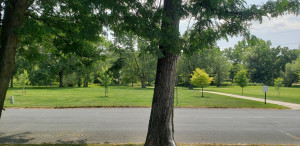 Photo for 213 S Huron Avenue, Spring Valley, MN 55975 - Listing #6029881 213 S Huron Avenue, Spring Valley, MN 55975