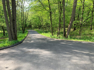 Photo for 30220 County 1, Spring Valley, MN 55975 - Listing #6017047 30220 County 1, Spring Valley, MN 55975