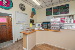 Photo for 111 Parkway Avenue N, Lanesboro, MN 55949 - Listing #6070690 111 Parkway Ave N Lanesboro MN-large-008-015-Counter-1500x1000-72dpi