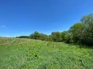 Photo for 29297 Gunflint Road, Chatfield, MN 55923 - Listing #5704761 29297 Gunflint Road, Chatfield, MN 55923