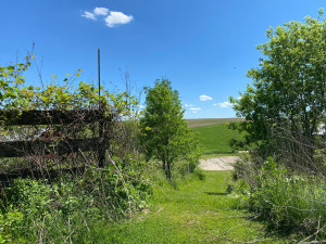 Photo for 29297 Gunflint Road, Chatfield, MN 55923 - Listing #5704761 29297 Gunflint Road, Chatfield, MN 55923
