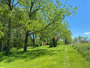 Photo for 29297 Gunflint Road, Chatfield, MN 55923 - Listing #5704761 29297 Gunflint Road, Chatfield, MN 55923