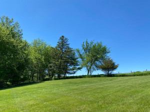 Photo for 29297 Gunflint Road, Chatfield, MN 55923 - Listing #5704761 29297 Gunflint Road, Chatfield, MN 55923