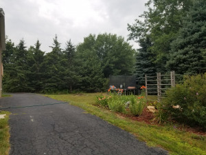 Photo for 505 21st Street NE, Austin, MN 55912 - Listing #6068065 505 21st Street NE, Austin, MN 55912