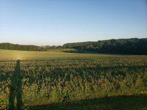 Photo for xxx Hwy 128, Spring Valley, WI - Listing #6084149 xxx Hwy 128, Spring Valley, WI