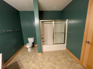 Photo for 200 E Michigan Street, Lake City, MN 55041 - Listing #6076477 200 E Michigan Street, Lake City, MN 55041