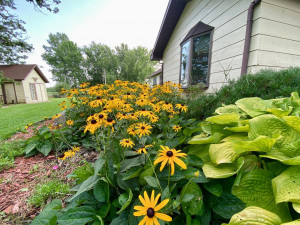 Photo for 29478 County Road 29, Utica, MN 55979 - Listing #6087323 29478 County Road 29, Utica, MN 55979