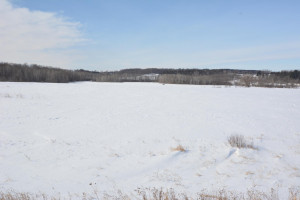Photo for 35 Acres County Road CC, Spring Valley, WI - Listing #5709522 35 Acres County Road CC, Spring Valley, WI