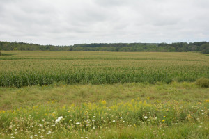 Photo for 35 Acres County Road CC, Spring Valley, WI - Listing #5709522 35 Acres County Road CC, Spring Valley, WI