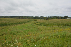 Photo for 35 Acres County Road CC, Spring Valley, WI - Listing #5709522 35 Acres County Road CC, Spring Valley, WI