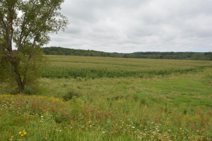 Photo for 35 Acres County Road CC, Spring Valley, WI - Listing #5709522 35 Acres County Road CC, Spring Valley, WI
