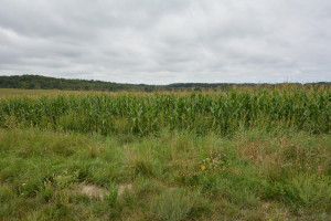 Photo for 35 Acres County Road CC, Spring Valley, WI - Listing #5709522 35 Acres County Road CC, Spring Valley, WI