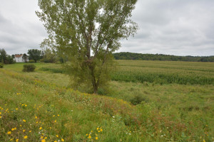 Photo for 35 Acres County Road CC, Spring Valley, WI - Listing #5709522 35 Acres County Road CC, Spring Valley, WI