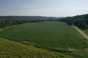 Photo for TBD Lost Loop Road, Chatfield, MN 55923 - Listing #6089468 TBD Lost Loop Road, Chatfield, MN 55923