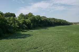 Photo for TBD Lost Loop Road, Chatfield, MN 55923 - Listing #6089468 TBD Lost Loop Road, Chatfield, MN 55923