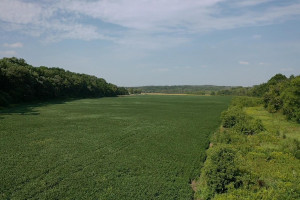 Photo for TBD Lost Loop Road, Chatfield, MN 55923 - Listing #6089468 TBD Lost Loop Road, Chatfield, MN 55923