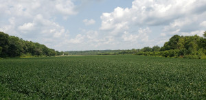 Photo for TBD Lost Loop Road, Chatfield, MN 55923 - Listing #6089468 TBD Lost Loop Road, Chatfield, MN 55923