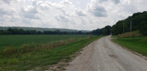 Photo for TBD Lost Loop Road, Chatfield, MN 55923 - Listing #6089468 TBD Lost Loop Road, Chatfield, MN 55923