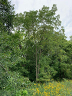 Photo for xxxx 728th Street, Lake City, MN 55041 - Listing #6088674 xxxx 728th Street, Lake City, MN 55041