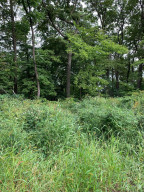 Photo for tbd 728th Street, Lake City, MN 55041 - Listing #6088889 tbd 728th Street, Lake City, MN 55041
