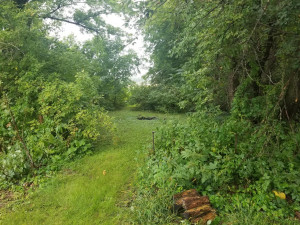 Photo for xxx 1st Avenue NE, Hayfield, MN 55940 - Listing #6094706 xxx 1st Avenue NE, Hayfield, MN 55940