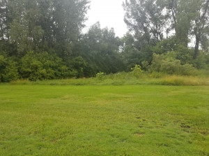 Photo for xxx 1st Avenue NE, Hayfield, MN 55940 - Listing #6094706 xxx 1st Avenue NE, Hayfield, MN 55940