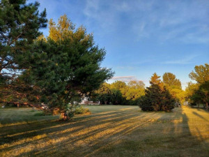 Photo for 32607 361st Avenue, Lake City, MN 55041 - Listing #6013853 32607 361st Avenue, Lake City, MN 55041