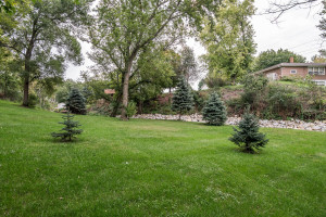 Photo for 362 Main Street N, Chatfield, MN 55923 - Listing #6096305 362 Main Street N, Chatfield, MN 55923