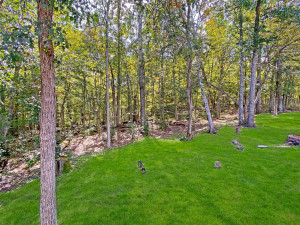 Photo for 29978 Ranchette Drive, Breezy Point, MN 56472 - Listing #6099063 29978 Ranchette Drive, Breezy Point, MN 56472