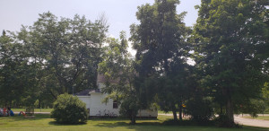 Photo for 213 S Huron Avenue, Spring Valley, MN 55975 - Listing #6029881 213 S Huron Avenue, Spring Valley, MN 55975