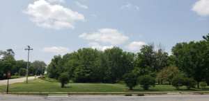 Photo for 213 S Huron Avenue, Spring Valley, MN 55975 - Listing #6029881 213 S Huron Avenue, Spring Valley, MN 55975