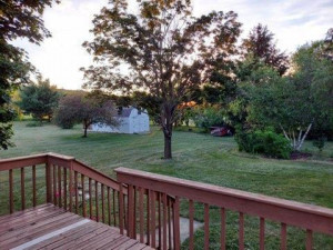 Photo for 32607 361st Avenue, Lake City, MN 55041 - Listing #6013853 Backyard has 2 apple trees and 1 pear tree