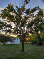 Photo for 32607 361st Avenue, Lake City, MN 55041 - Listing #6013853 32607 361st Avenue, Lake City, MN 55041