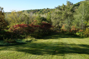Photo for N7895 50th Street, Spring Valley, WI - Listing #6104788 N7895 50th Street, Spring Valley, WI
