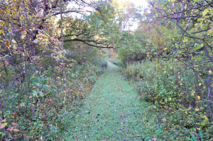 Photo for N7895 50th Street, Spring Valley, WI - Listing #6104788 N7895 50th Street, Spring Valley, WI