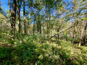 Photo for 20513 Highway 248, Rollingstone, MN 55969 - Listing #6106469 20513 Highway 248, Rollingstone, MN 55969